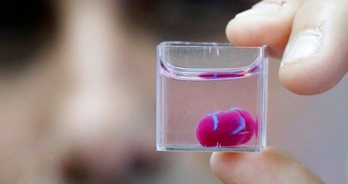 Scientists Created 3D Printed Heart