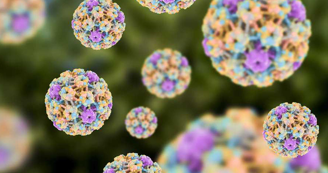 will hpv vaccine get rid of warts