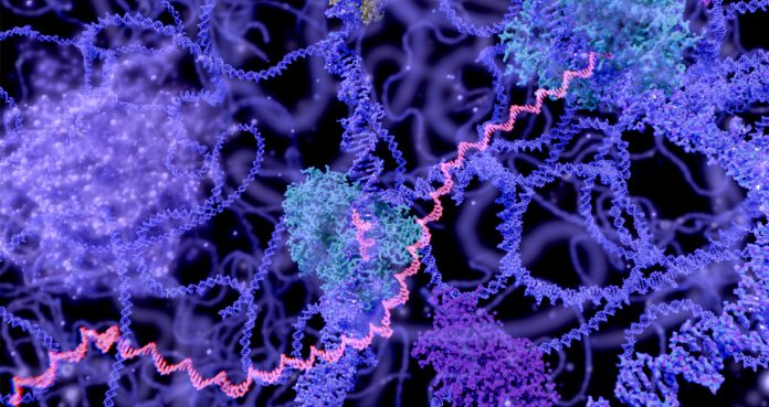 Reverse Prediabetes Deactivating an Enzyme