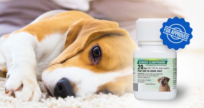 FDA Approves Generic Clomipramine