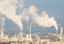 Air Pollution Associated With Poor Bone Health