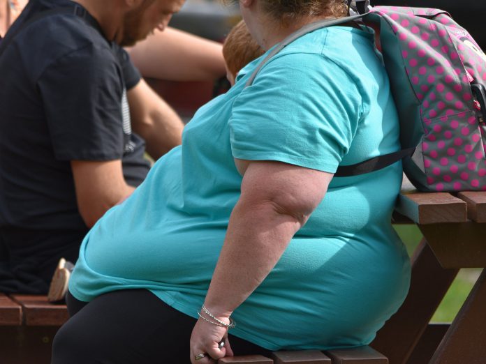 Statins Linked To Improved Intestinal Bacterial Flora in Obese People, Study