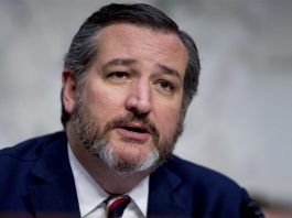 Sen. Ted Cruz Wants a Ban on Abortion Pills, People Make Viagra Jokes on Him