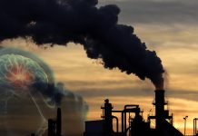 Air Pollution Linked To Increased Risk of Neurological Disorders, Finds Study