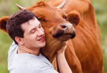 Why ‘Cow Hugging’ Is Becoming A New Wellness Trend? Why-‘Cow-Hugging’-Is-Becoming-A-New-Wellness-Trend