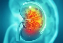 Renal Transplantation Improves Erectile Dysfunction, Confirms Study
