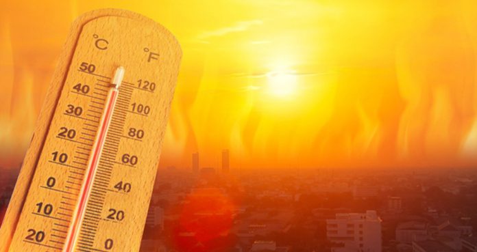 Heatwaves Linked To Increased Risk of Cardiovascular Events Heatwaves Linked To Increased Risk of Cardiovascular Events