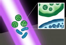 Scientists Develop Laser Technology That Can Kill Multidrug-Resistant Bacteria Scientists-Develop-Laser-Technology-That-Can-Kill-Multidrug-Resistant-Bacteria