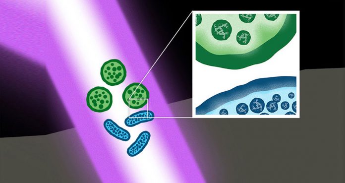 Scientists Develop Laser Technology That Can Kill Multidrug-Resistant Bacteria Scientists-Develop-Laser-Technology-That-Can-Kill-Multidrug-Resistant-Bacteria