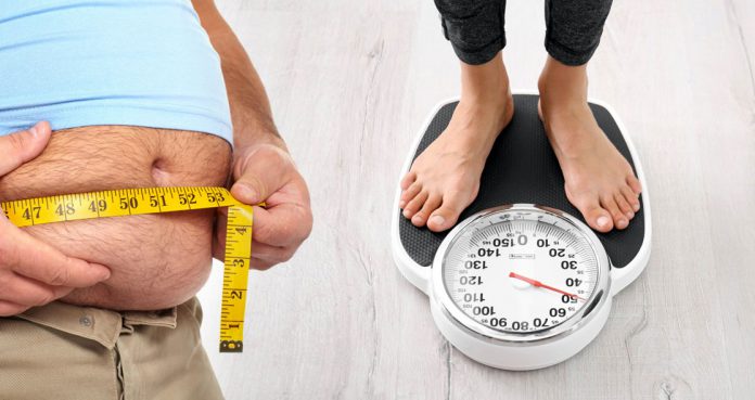 Anti-Cancer Drug Promotes Weight Loss in Mice, Finds Study