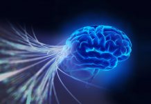 Mental Speed Remains Largely Stable Over Decades, Finds Study