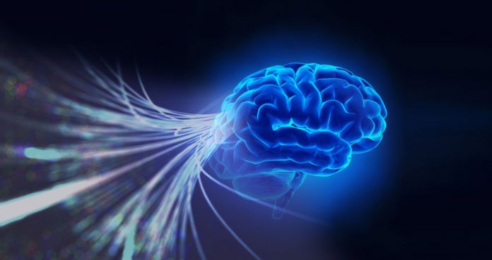 Mental Speed Remains Largely Stable Over Decades, Finds Study