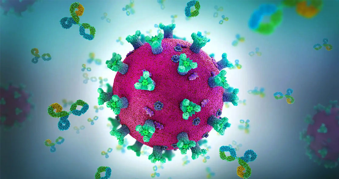 Researchers-Explain-Immunological-Memory-Offers-Long-Term-Protection-against-COVID