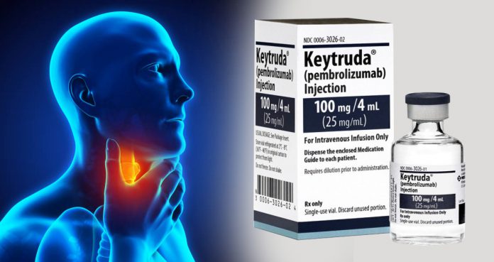 Keytruda Increases Survival Rates of Patients with Head and Neck Cancer, Finds Trial