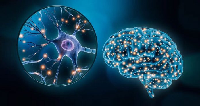 Astrocyte Abnormality Associated With Some Autism Spectrum Disorder Symptoms Astrocyte-Abnormality-Associated-With-Some-Autism-Spectrum-Disorder-Symptoms